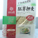 【作り方:甘酒】甘酒(麦ごはん編)