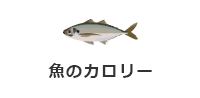 魚のカロリー