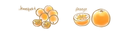 金柑とオレンジのコンフィチュール